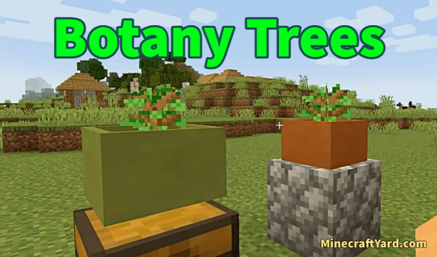 Botany Trees Mod (1.20.5 - 1.19.4 - 1.18.2) New Trees Minecraft